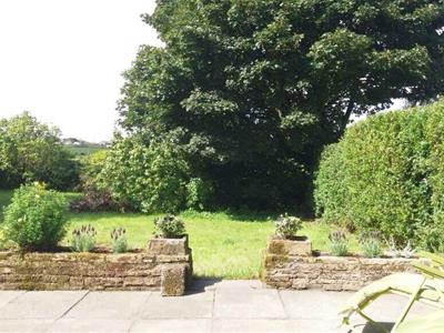 Picture 25